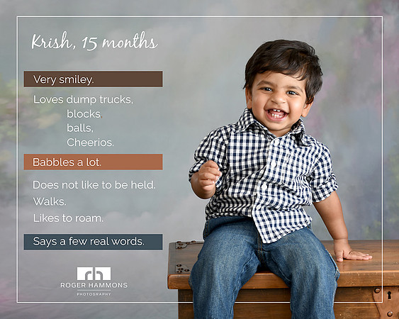 Toddler Portrait | Northern Virginia Family Photographer