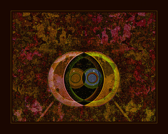 "H1N1" | Northern Virginia Fine Art Photographer