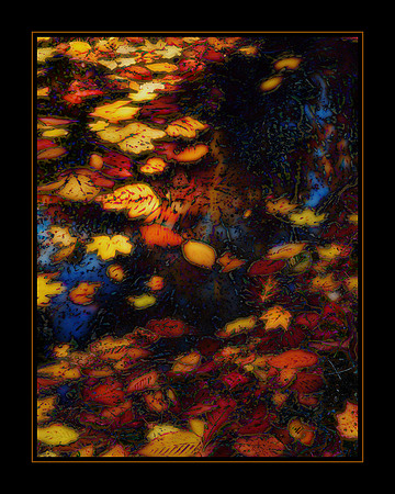 "Pool of Autumn Colors" | Northern Virginia Fine Art Photographer